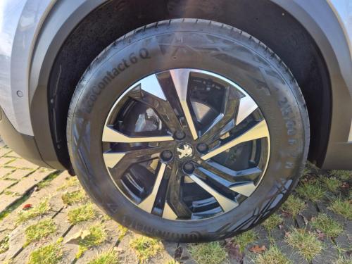 PHOTO-2026-01-30-09-26-28-2