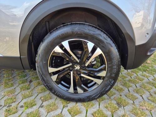 PHOTO-2026-01-30-09-26-28-3