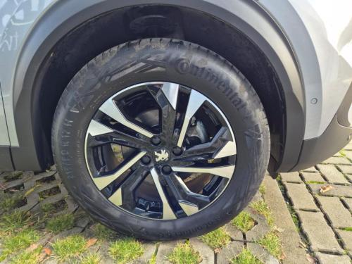 PHOTO-2026-01-30-09-26-28-4