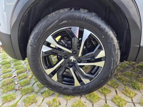 PHOTO-2026-01-30-09-26-28-5